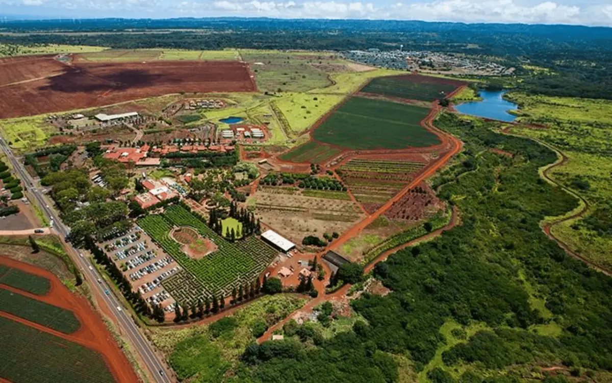 Central Oahu farmland and the coast seen from the air